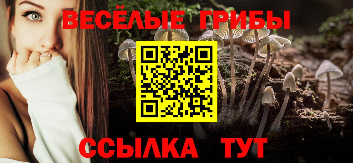 Галлюциногенные грибы MAGIC MUSHROOMS Бугуруслан