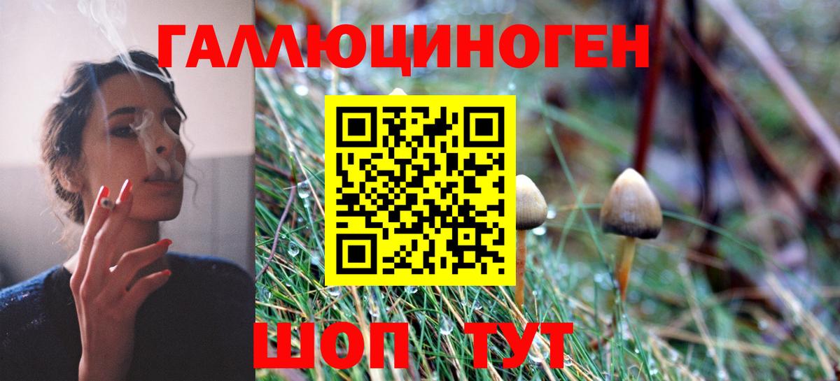 Псилоцибиновые грибы MAGIC MUSHROOMS  Вход с VPN  Бугуруслан 
